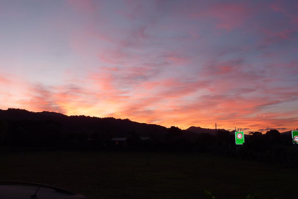 The Green House B&B Whitianga Rom bilde