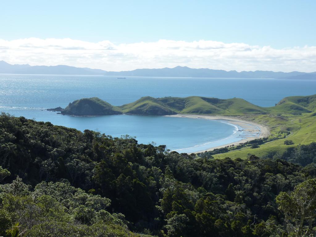 The Green House B&B Whitianga Eksteriør bilde