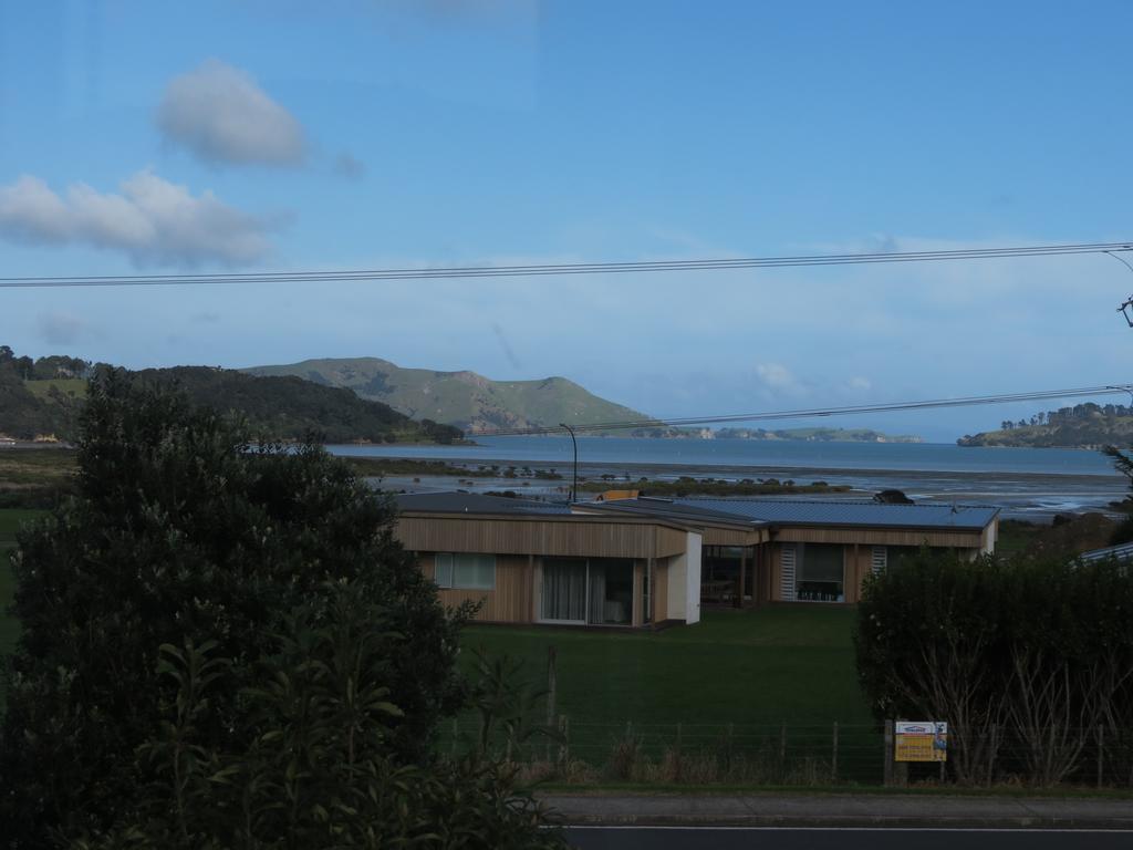 The Green House B&B Whitianga Rom bilde