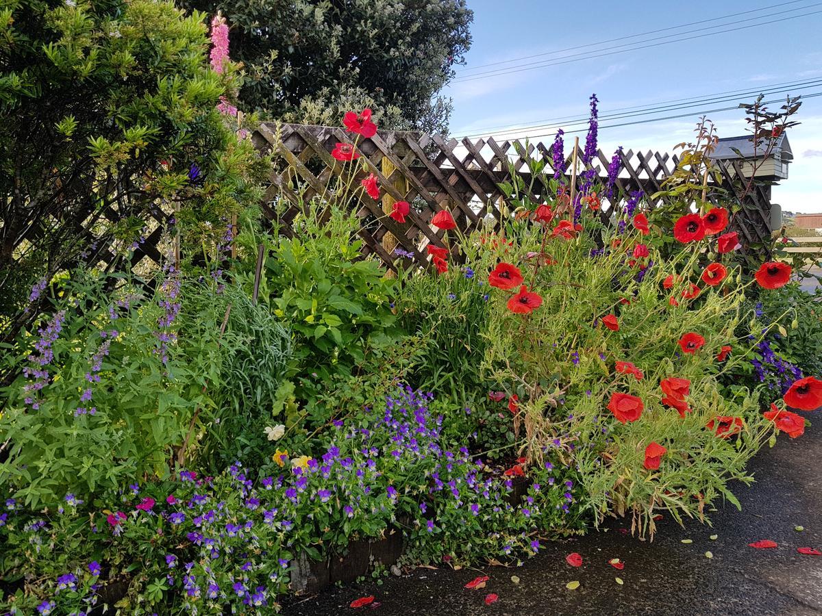 The Green House B&B Whitianga Eksteriør bilde