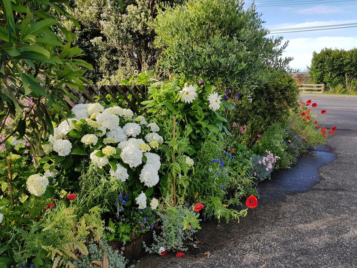 The Green House B&B Whitianga Eksteriør bilde