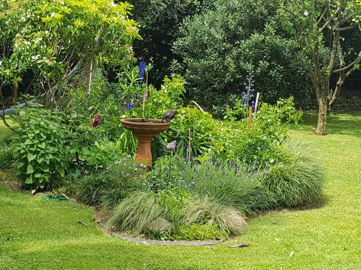 The Green House B&B Whitianga Eksteriør bilde